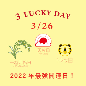 ファッションとエコ 環境との共生 株式会社kuipo クイーポ